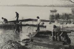 Année 1980